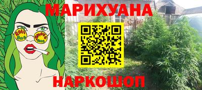 индика Кулебаки